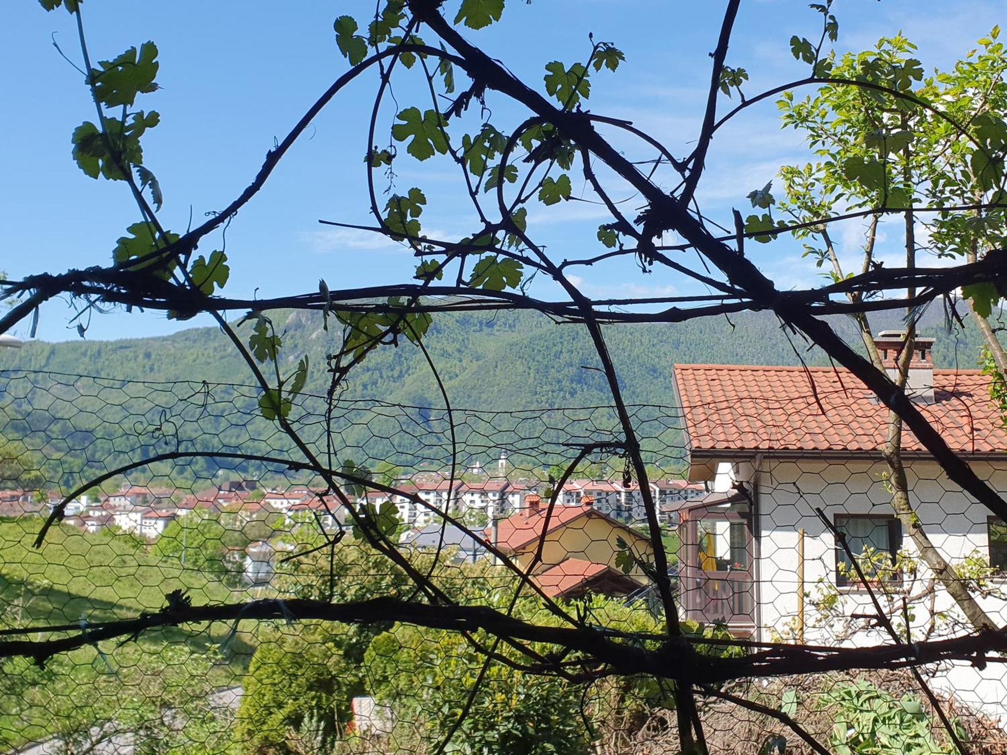 Apartment With Terrace Nona Pavla โทลมิน ภายนอก รูปภาพ