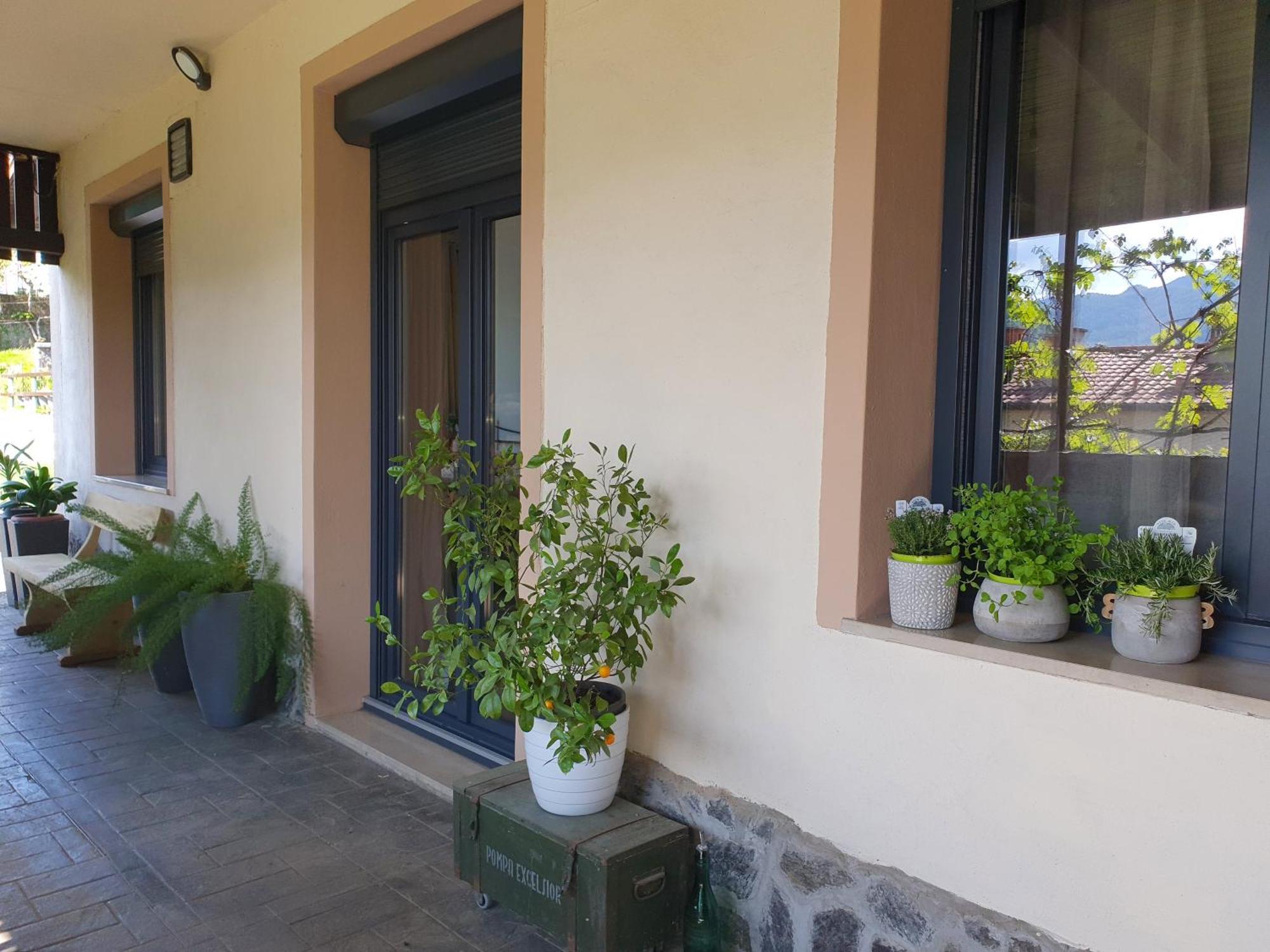 Apartment With Terrace Nona Pavla โทลมิน ภายนอก รูปภาพ